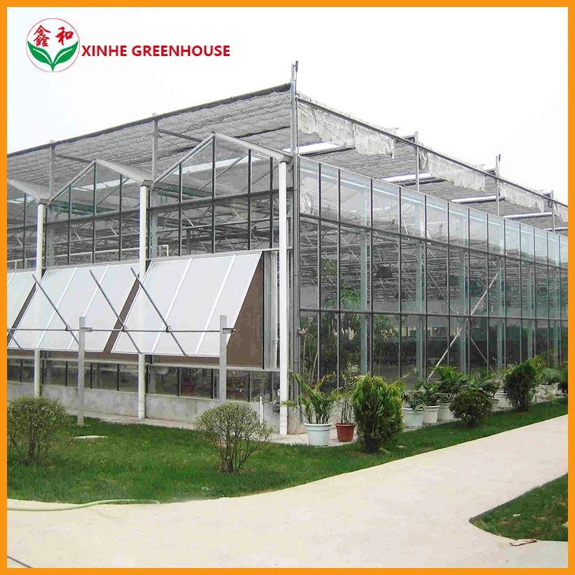 Agricultural Venlo Type Glass Green House with Hydroponic System for Vegetables